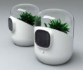 /products/purificador-de-aire-con-funcionamiento-vegetal-/